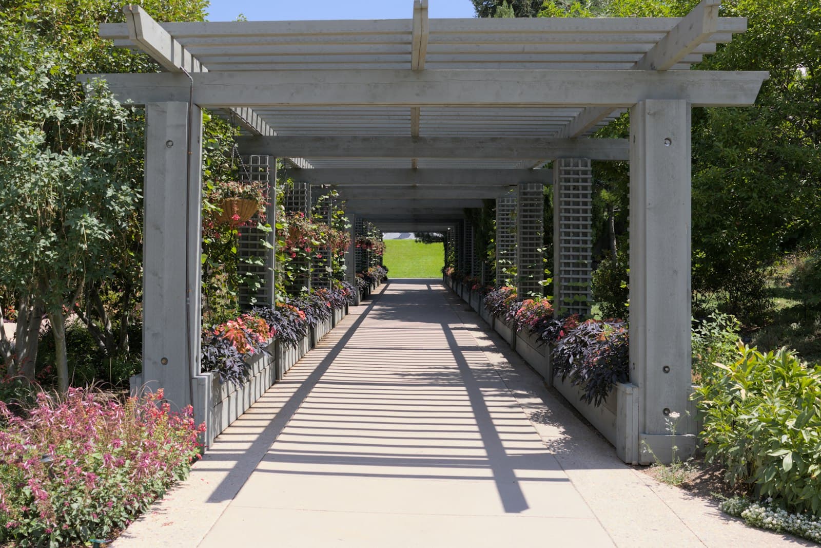Garden walkway framed by a long pergola